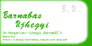 barnabas ujhegyi business card